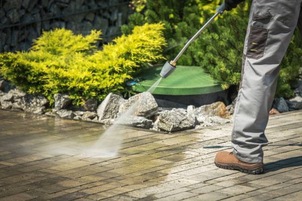 Best Fence Cleaning  in Vine Hill, CA