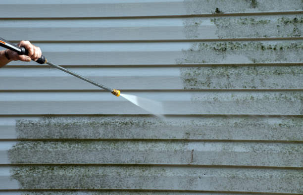 Best Solar Panel Cleaning  in Vine Hill, CA